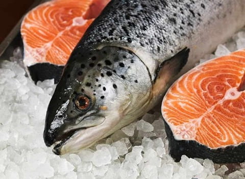 تصویر 1 از قیمت خرید فروش ماهی قزل آلا با کیفیت صادراتی